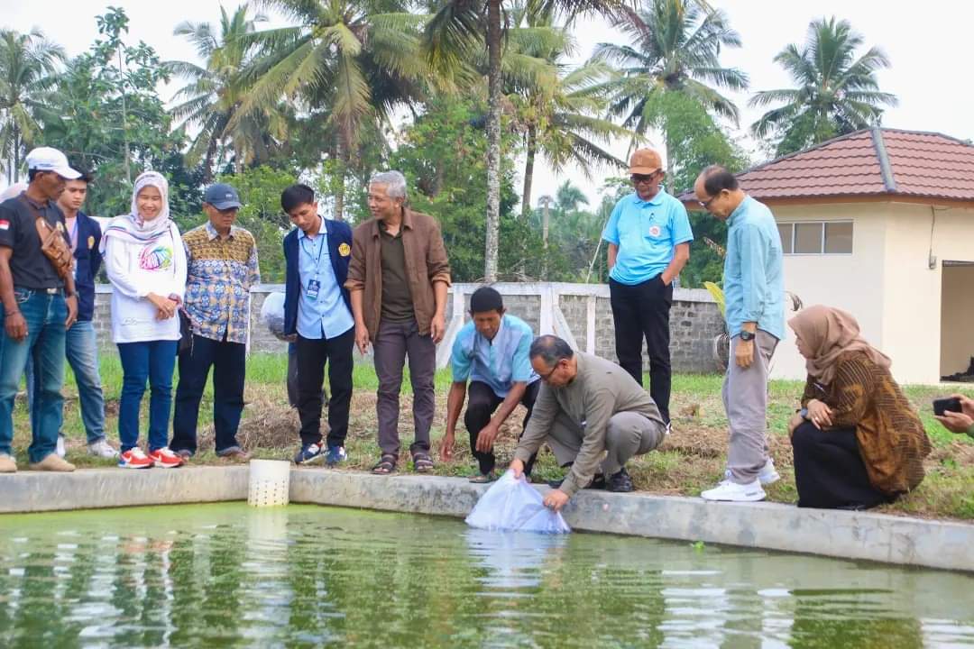 Sekda Ivan Hadiri Penebaran Benih Ikan Nilaa di Kawasan Minapolitan.